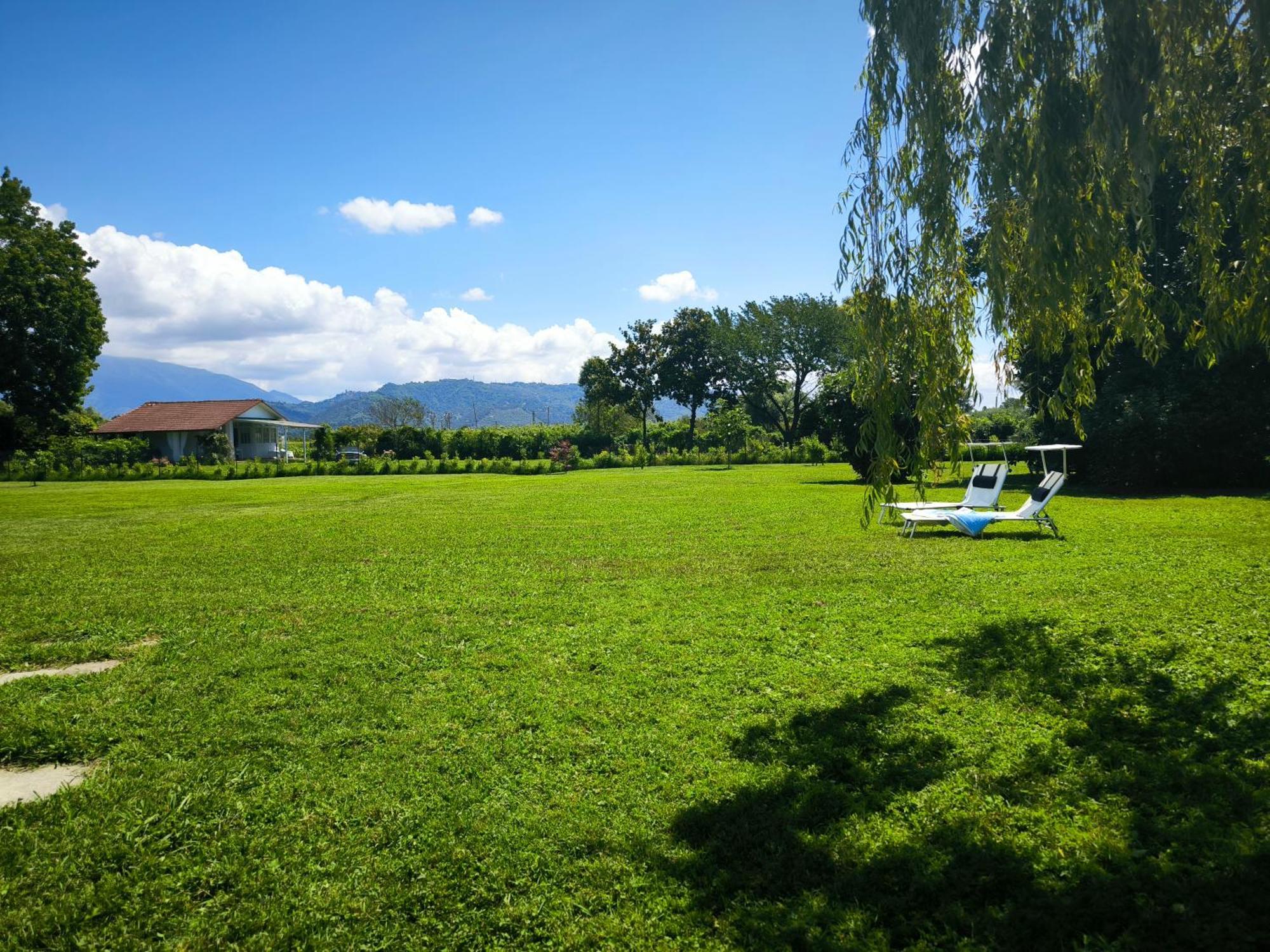 Versilia - Pietrasanta - Le Colmate Guesthouse Тонфано Экстерьер фото