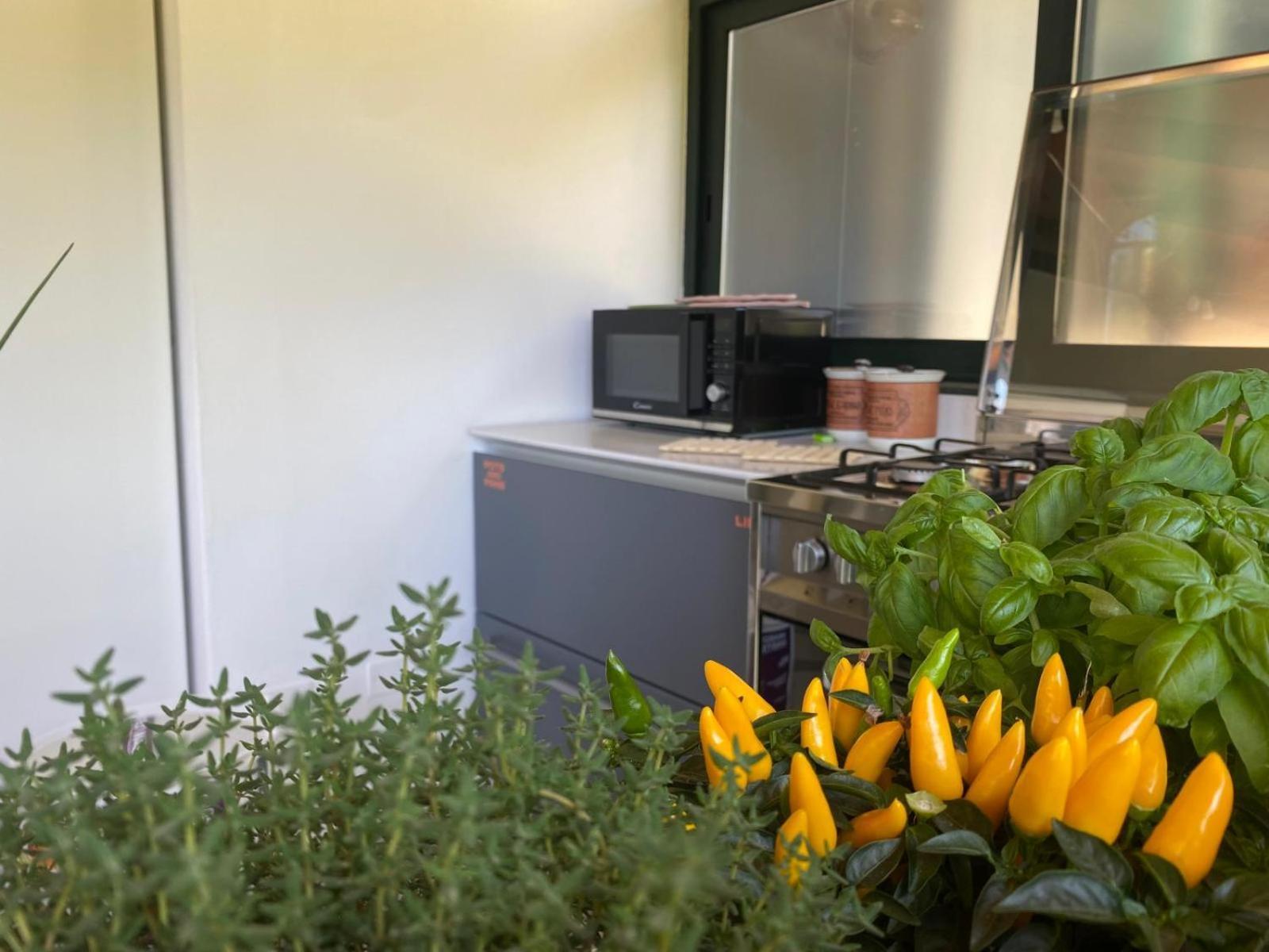 Versilia - Pietrasanta - Le Colmate Guesthouse Тонфано Экстерьер фото